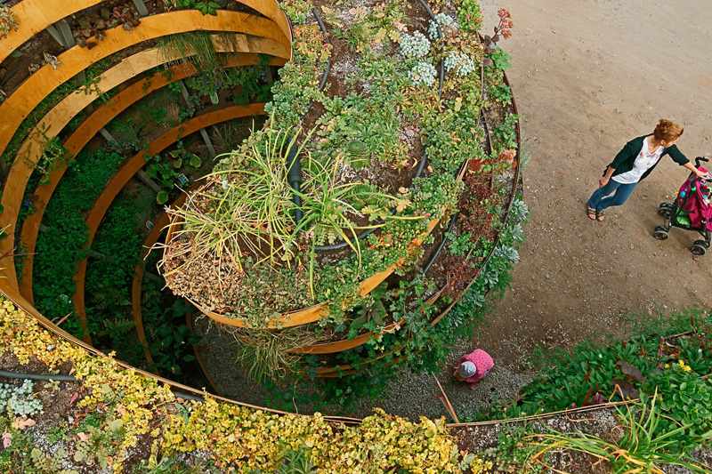 Hochbeet-Garten-Spirale-Besucher-hoch-Pflanzen
