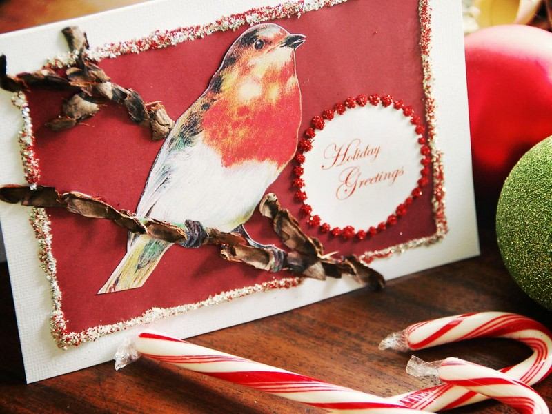 Weihnachtskarten-basteln-Vogel-Motiv-ausschneiden-Tannenzapfen-Baumzweig