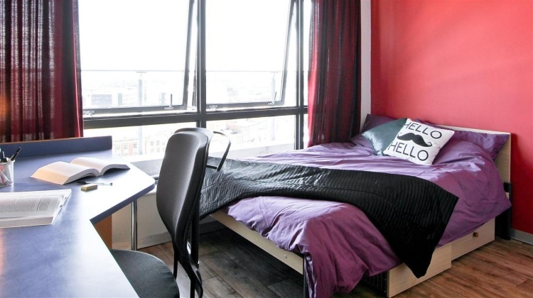 altrosa-wandfarbe-schlafzimmer-modern-grau-violett-schreibtisch-fenster