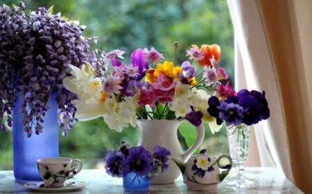 fensterbank deko bunte blumen fruehling stiefmuetterchen blauregen