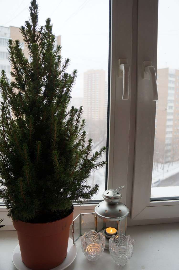 fensterbank-deko-innen-weihnachten-kleiner-tannenbaum-topf-kerzenlaterne