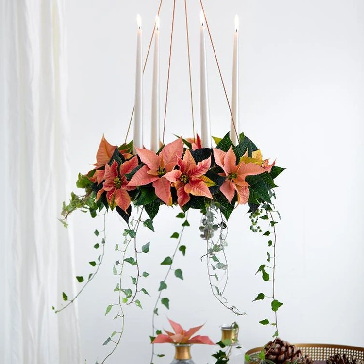 hängender adventskranz mit weihnachtssternen