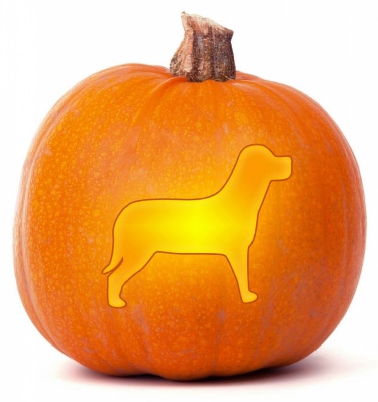 Halloween Kürbis schnitzen -vorlagen-hund-ausschneiden-form-keksenform