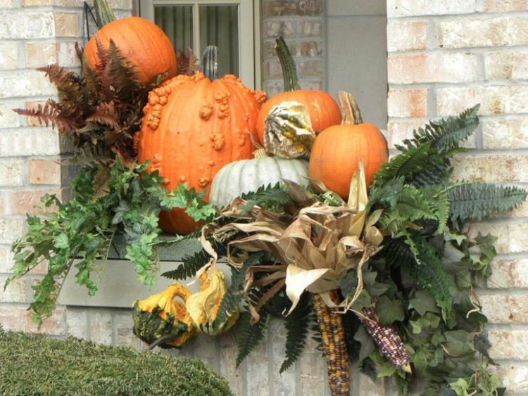 ideen halloween dekoration fenster arrangement kuerbisse pflanzen herbstlich