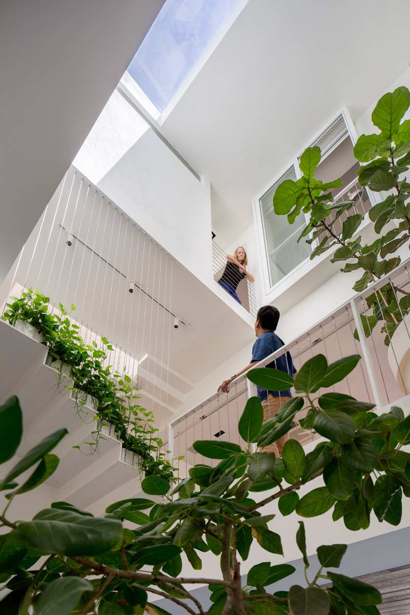 modernes-wohnen-offene-wohnraeume-innengarten-pflanzen-treppe-feige-weiss