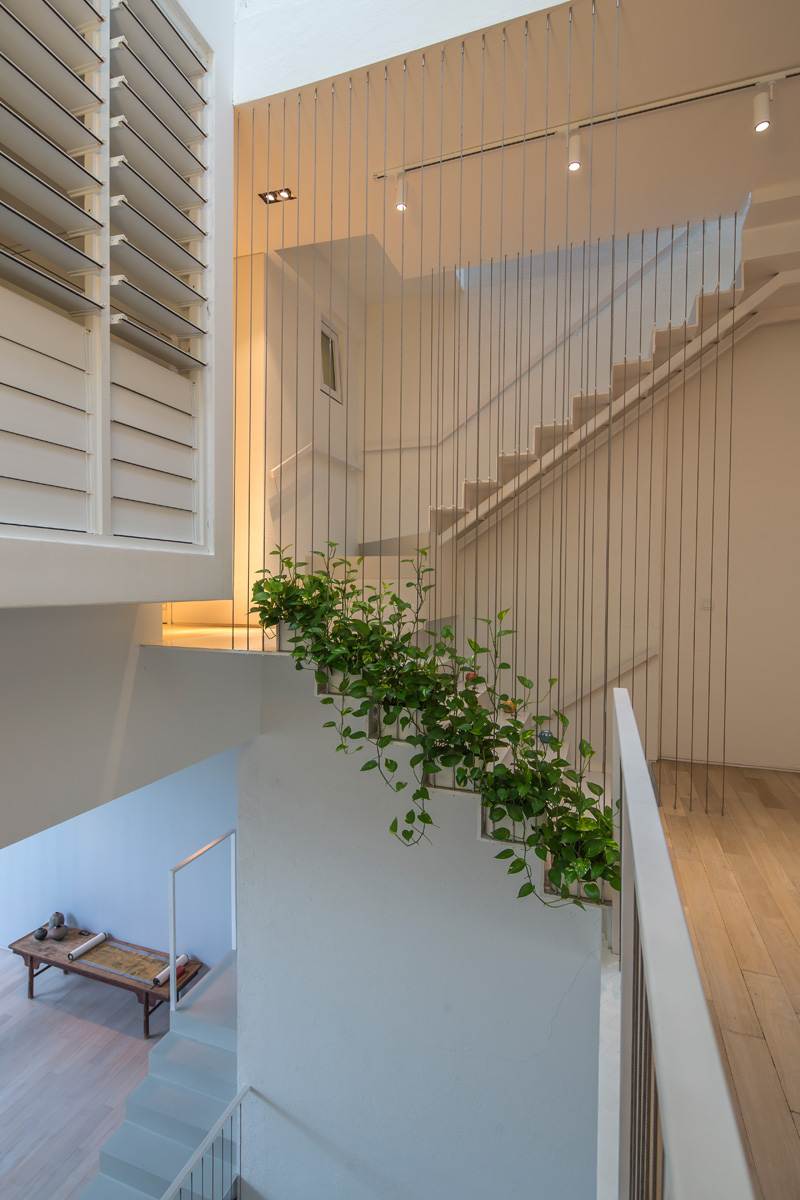 modernes-wohnen-offene-wohnraeume-pflanzen-innengarten-treppe-ebenen-etagen-beleuchtung