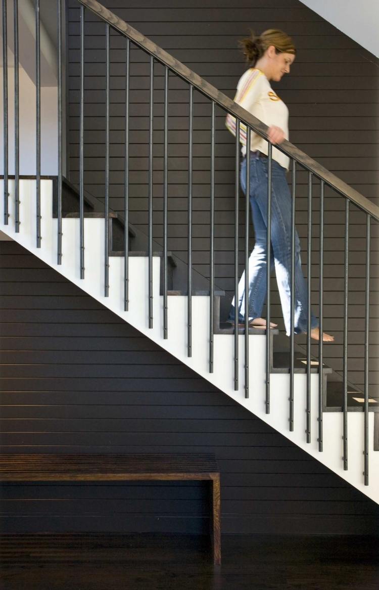 treppenhaus-renovieren-streichen-ideen-schwar-minimalistisch-modern-stufen-metallgelaender