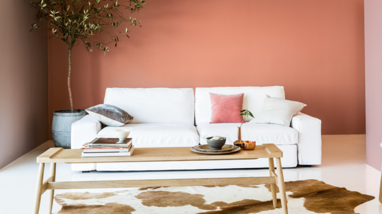 wandfarbe apricot weiss couch fell deko pflanze couchtisch holz