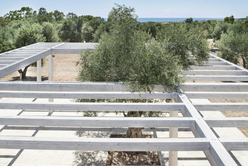 wandgestaltung stein pergola idee design olivenbaum