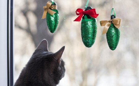 Weihnachtsdeko für Fenster