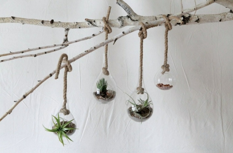wohnideen kreative birke ast terrarium idee sukkulenten pflanzen
