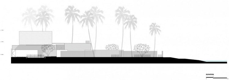 ferienvilla-grundriss-architektur-querschnitt-palmen