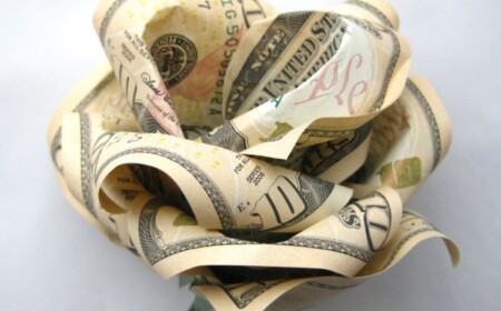 Aus Geldschein Blume falten