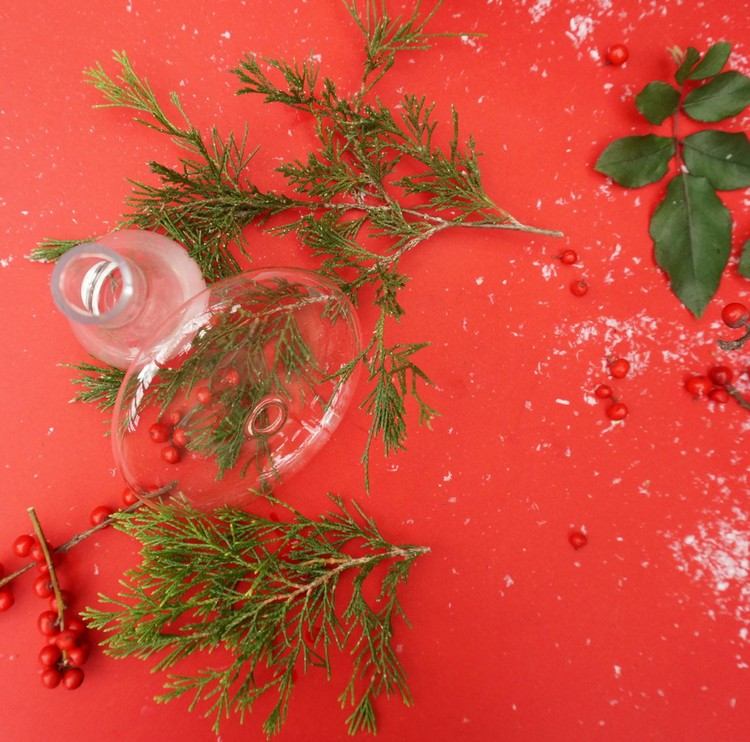 kleine-rote-beeren-deko-tannenzweige-glasvasen-weihnachten