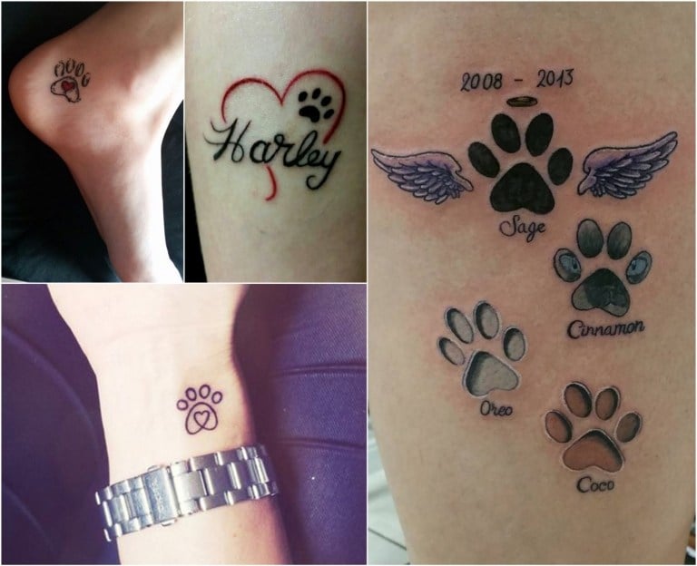 tattoo für verstorbene katze katzenpfoten herz und name