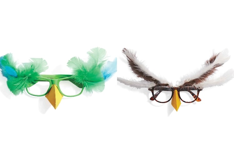Eulenmaske basteln Brille mit Federn verzieren Ideen für Kostüme zum Fasching für Kinder