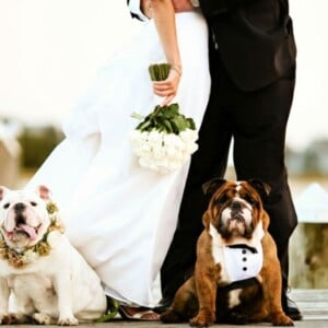 Hochzeit mit Hund