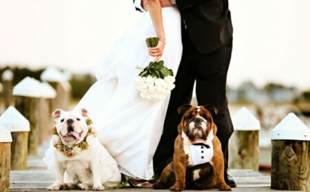 Hochzeit mit Hund