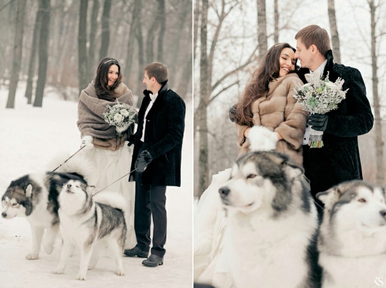 Hochzeit mit Hund winter-husky-spazieren-pelz-mantel