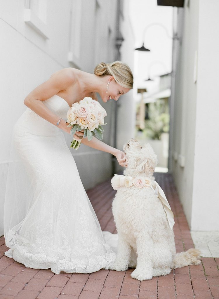 Hochzeit mit Hund elegant-braut-hals-rosen-kranz-brautstrauss