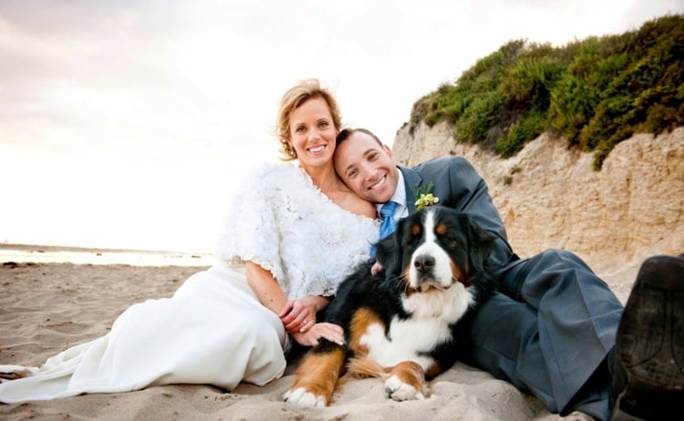 hochzeit mit hund strand-heiraten-berner-sennenhund-hochzeitsfoto
