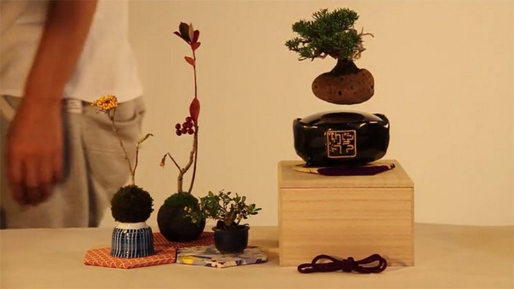 Schwebende bonsaibaume-deko-zuhause-porzellan-basis-magnet