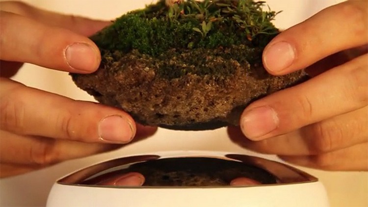 schwebende-deko-objekte-bonsai-baume-magnet-kraefte