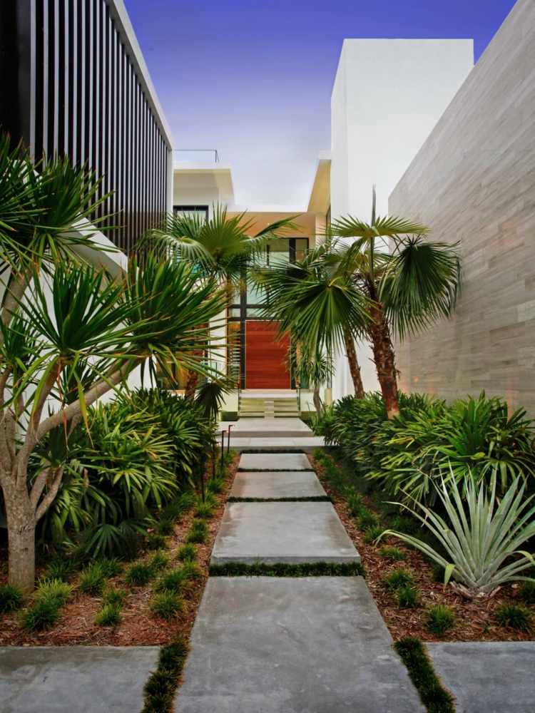 terrassenplatten aus beton gartenweg-idee-modern-palmen-beete