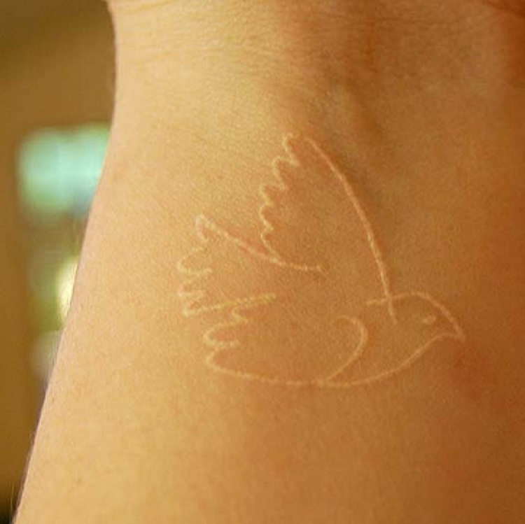 weißes tattoo vogel-idee-handgelenk-design-damen-friedenstaube