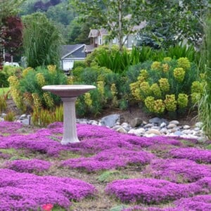 Senkgarten mit Sitzplatz