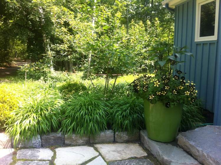 Ideen-Gartengestaltung-blattschmuckpflanze-japanisches-waldgras-hellgruene-bueschel-blumentopf-gartenhaus-steintreppe