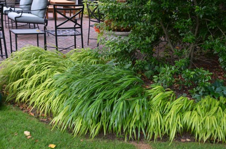 Ideen für Gartengestaltung japangras-blumenbeet-hellgruene-dunkelgruene-bueschel-baum-halbschattiger-standort