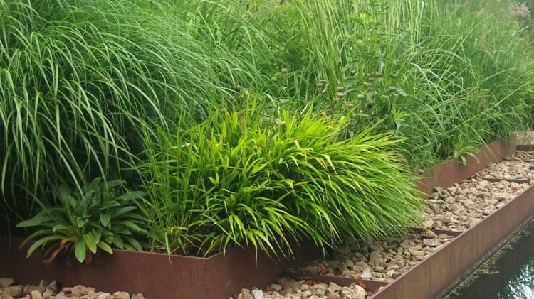 Ideen-Gartengestaltung-japanisches-gras-cortenstahl-hochbeet-blattschmuckpflanze-terrassierung-wasserteich