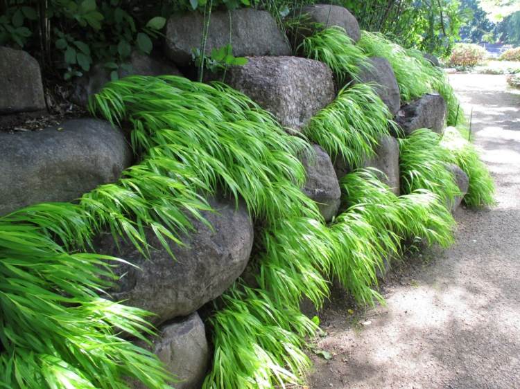 Ideen-Gartengestaltung-japanisches-waldgras-heiter-gruen-steingarten-weg-stuetzmauer-felsbrocken