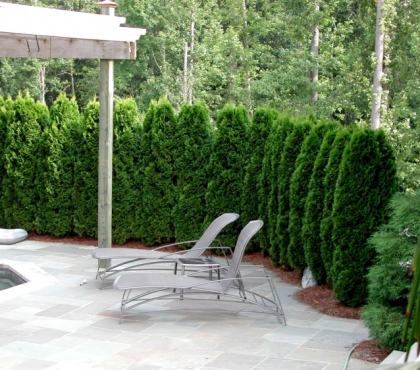 Gartengestaltung und Pflege: Anregungen und Ideen - Deavita.com - Page