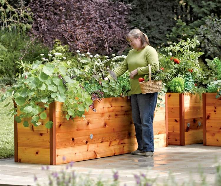 Hochbeet für Balkon -selber-bauen-bepflanzen-gemuesegarten-holz-pflege-tipps
