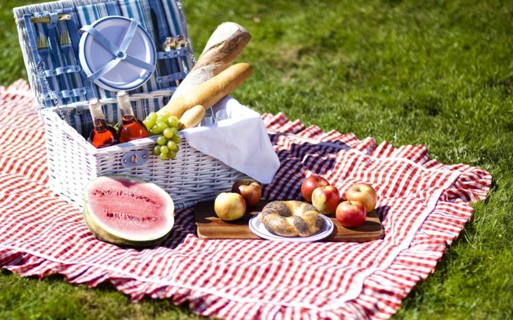ideen-picknick-freizeit-unterhaltung-essen-natur-park-obst-decke-korb