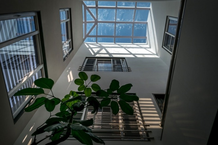 kreative-wandgestaltung-modern-design-glasdach-dachfenster-gruene-pflanzen