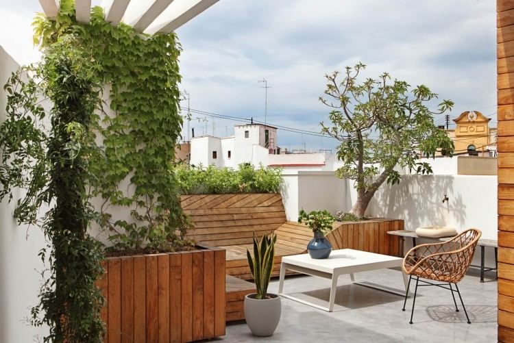 wohnen-in-weis-holz-modern-terrasse-kletterpflanzen-efeu-mediterran