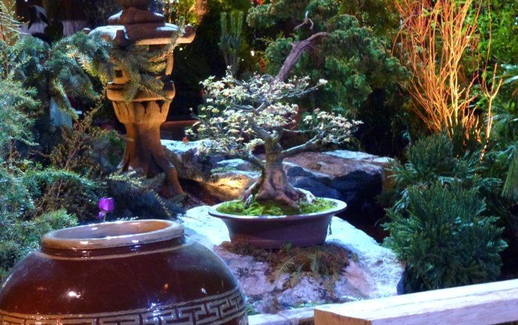 asiatische-artendeko-bonsai-baum-leuchtturm-terracotta-topf-stein
