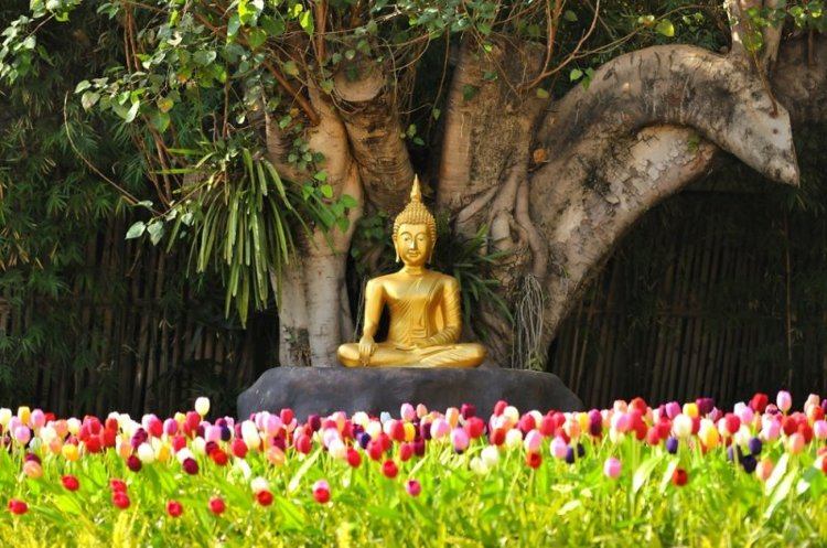 asiatische-gartendeko-buddha-statue-gold-palme-bunte-tuple-bambus