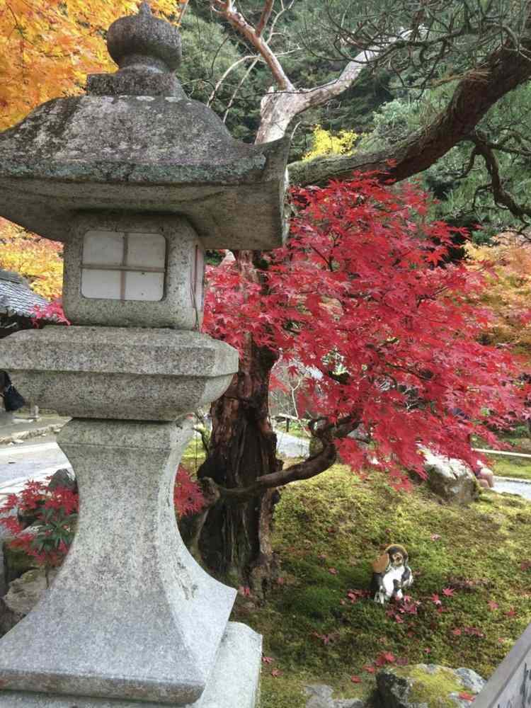 asiatische-gartendeko-stein-leuchtturm-japanisch-ahorn-gartengestaltung