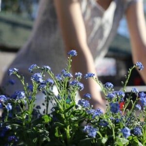 Gartenarbeit im Frühling