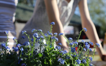 Gartenarbeit im Frühling