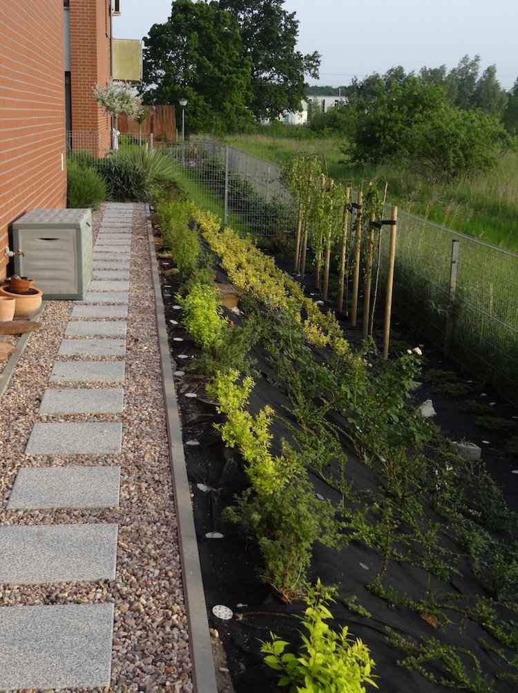 gartengestaltung-hanglage-hintergarten-gehweg-terrassenplatten-kies-bodendecker-bewaesserung