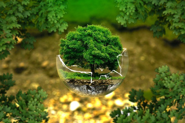 green economy gruenes-wirtschaften-Umweltschutz-klimawandel