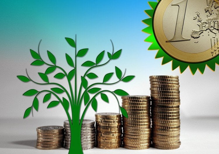 green-economy-massnahmen-euro-geld-naturschutz