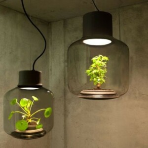 LED Pflanzenlampe