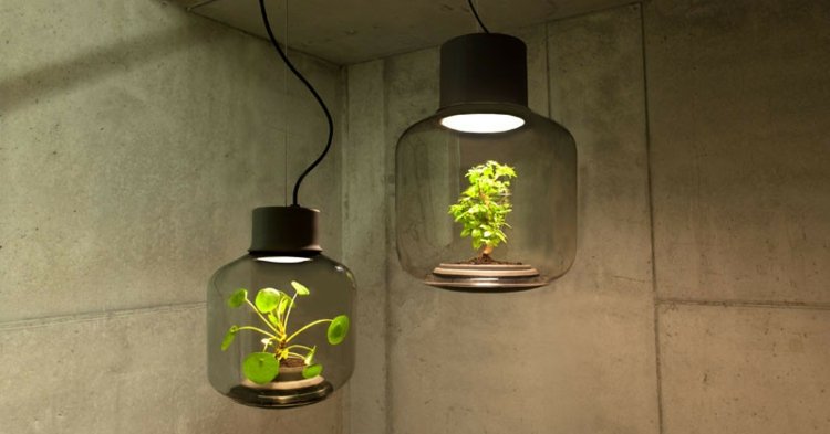 LED Pflanzenlampe mygdal-gruene-pflanze-schwarz-gluehbirne