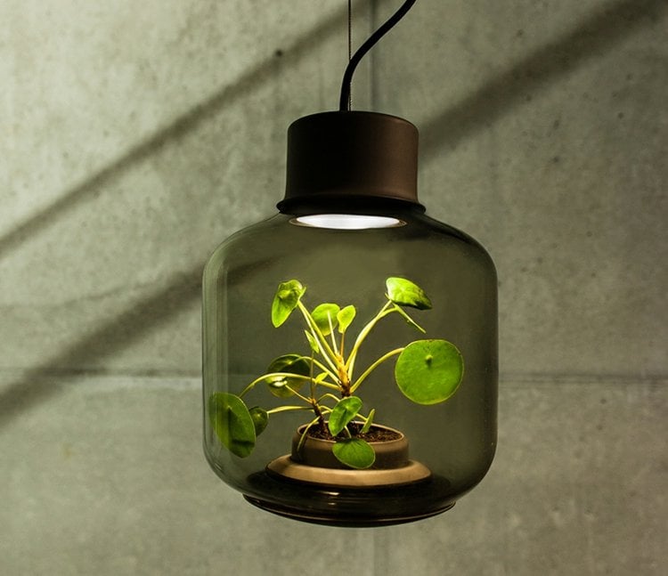 led-pflanzenlampe-pendelleuchte-zimmerpflanze-gruen-klein-topf-dunkles-glas